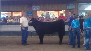 Congratulations to Kendrick Suntken of Belmond, whose steer was selected during the 2014 Franklin County Fair for the Governor’s Celebrity Steer Show at the Iowa State Fair. Kendrick, wearing the purple shirt, is pictured here with Alan Brown, president of the Iowa State Fair Board, who showed his steer in last Saturday’s show.
