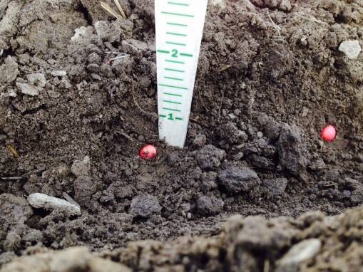it pays to stop the planter periodically and check (1) seed-to-soil contact; (2) planting depth and (3) seed spacing.