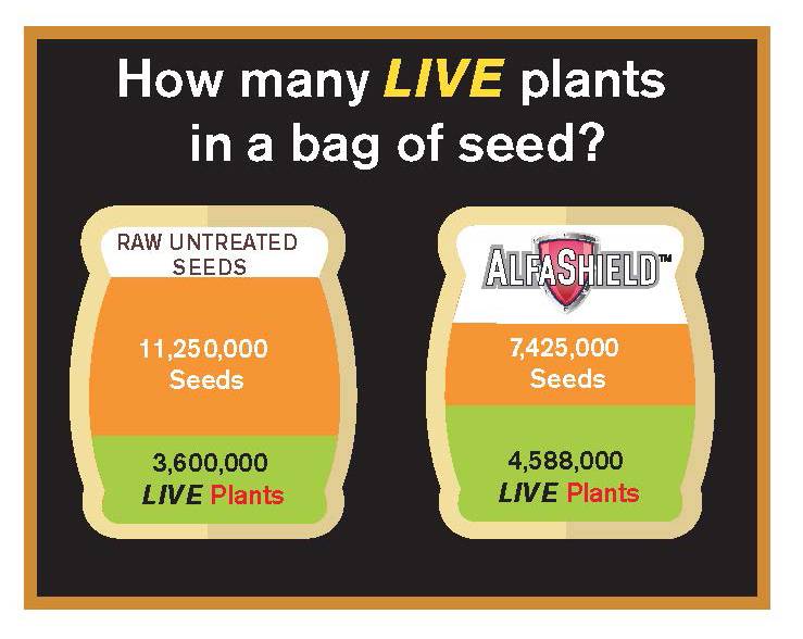 Live Plants Graphic Latham Seeds