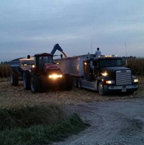 Mark and Jesse bringing in the 2015 harvest 