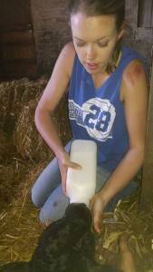 Laura Bottle Feeding a Calf on SkyView Farms