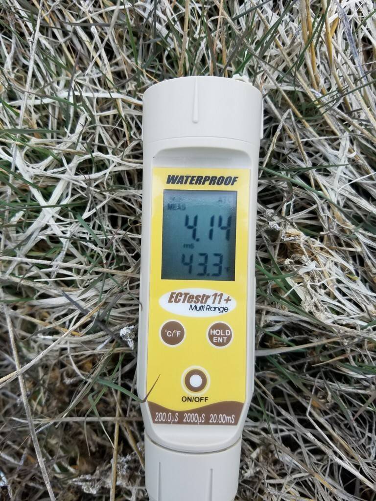 As part of our FieldxFieldSM crop planning for alfalfa, we test for electro conductivity in soils. As is the case in this particular field with a high reading, we will plant LH 9300 ST salt tolerant alfalfa. 