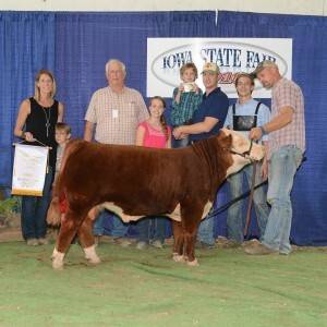 Bear Grove Beef’s Cannonball was the 2016 Iowa State Fair Reserve Champion Bull