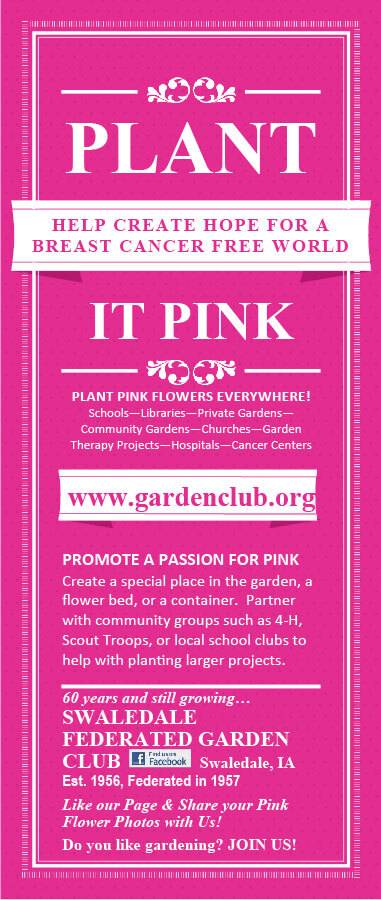 Plant Pink Jpg-01