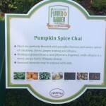 Pumpkin Spice chia starts with a seed!
