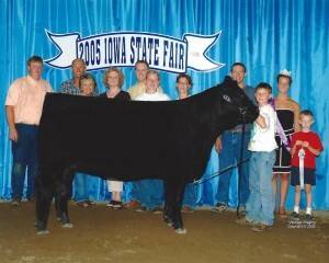 Zach Greiman is pictured here with his Limousin heifer that was champion in both the Open and 4-H shows at the 2005 Iowa State Fair and was also 3rd overall breeds in the 4-H show