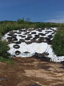 While many silage bunkers are made from concrete, this one at Valley View Farm was created from the stones in a side hill.