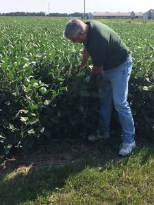 Steve with Soybeans