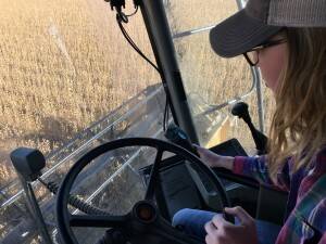 Courtney operating the combine earlier this fall!