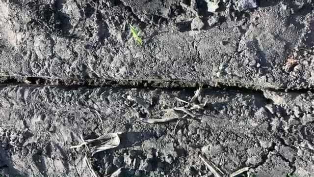 Sidewall compaction 1 a
