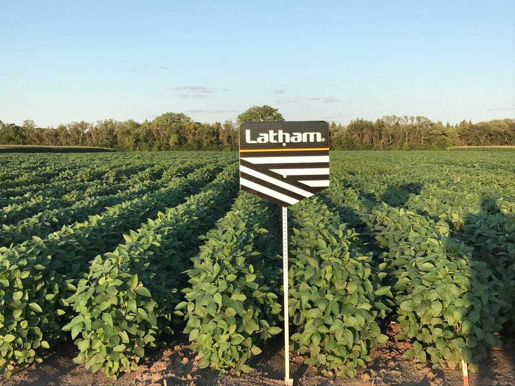 Hagart Latham Hi-Tech Soybean Plot