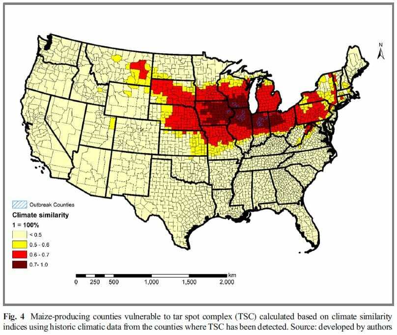 Pictured above is vulnerable areas in the Midwest for Tar Spot. “Threats of Tar Spot Complex disease of maize in the United States of America and its global consequences” (Mottaleb et al. 2018).