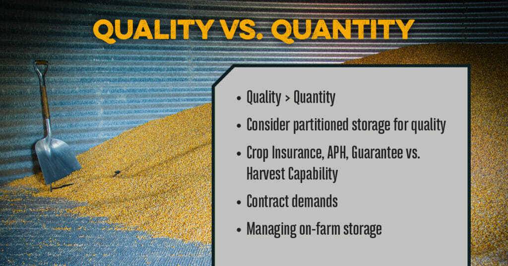 Quality vs quantity