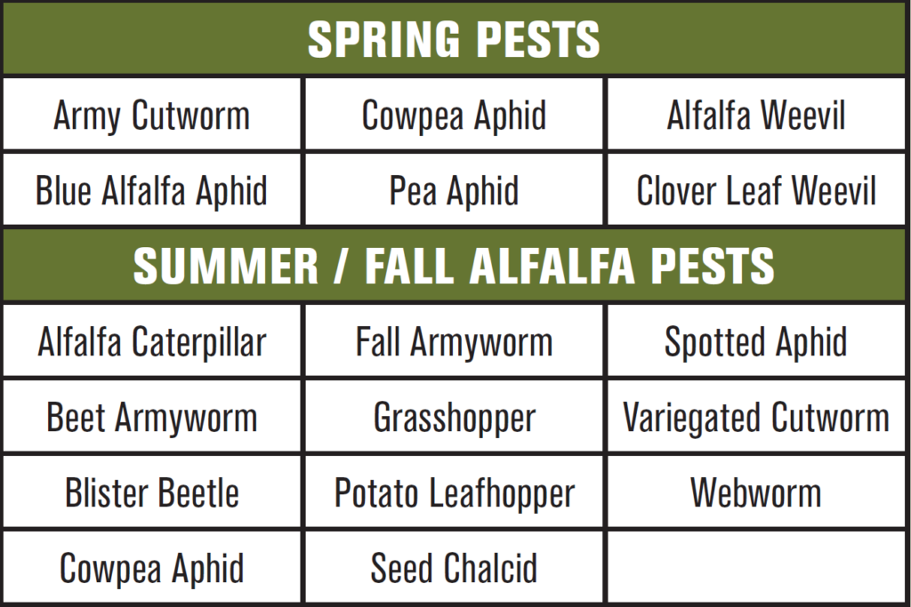 Pest calendar