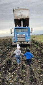 Kids Farming 2