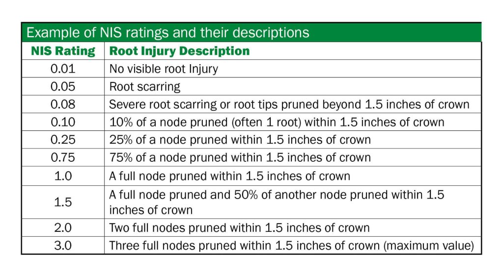 Quick Tips for Root Digs