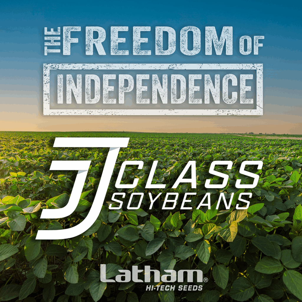 J-Class Soybeans