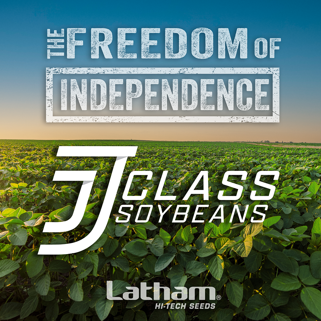 J-Class Soybeans