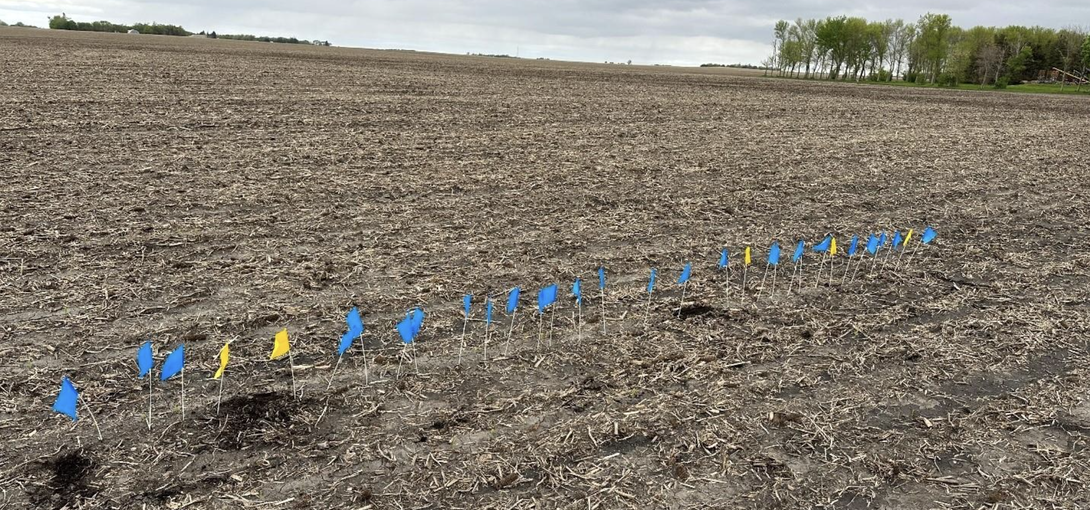 Start Even, Finish Strong