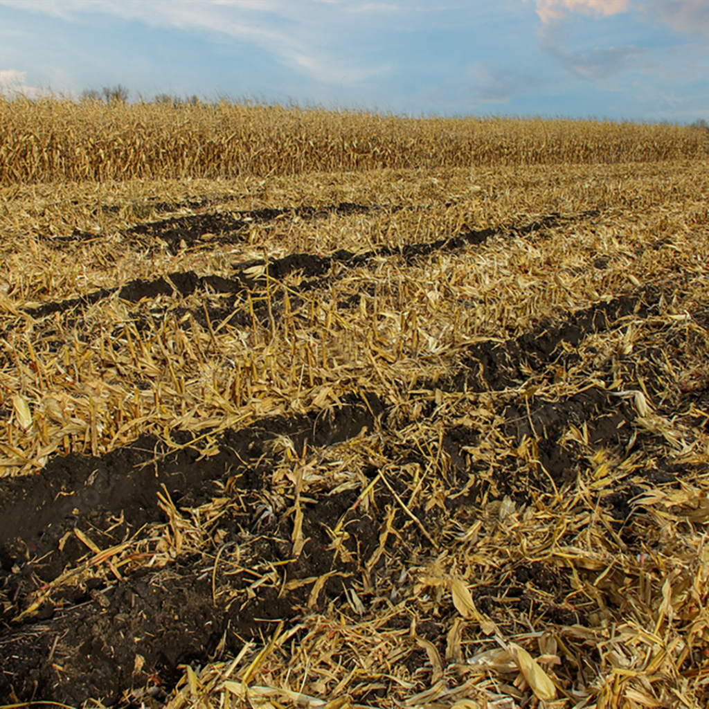 What Does Harvest Moisture Really Cost You?
